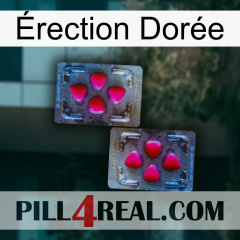 Érection Dorée 15